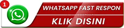WHATSAPP LEDAK388